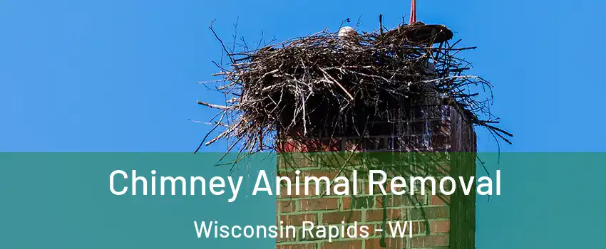 Chimney Animal Removal Wisconsin Rapids - WI