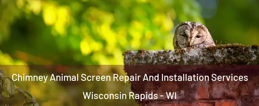  Chimney Animal Screen Repair And Installation Services Wisconsin Rapids - WI