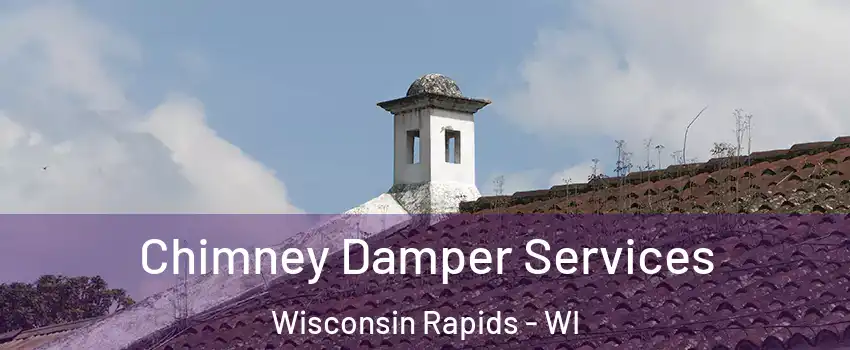  Chimney Damper Services Wisconsin Rapids - WI