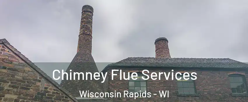  Chimney Flue Services Wisconsin Rapids - WI