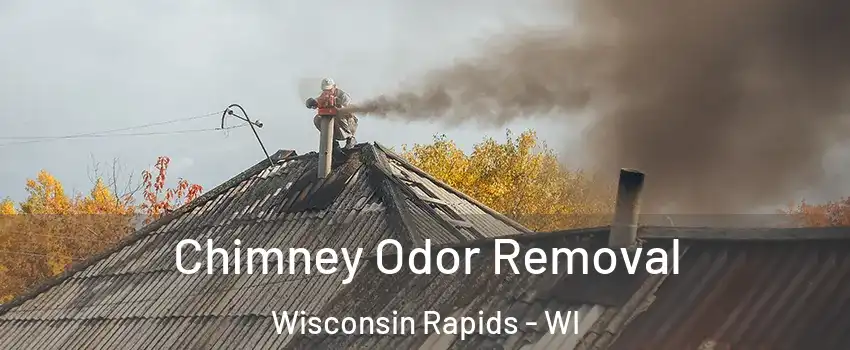  Chimney Odor Removal Wisconsin Rapids - WI