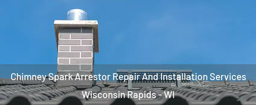  Chimney Spark Arrestor Repair And Installation Services Wisconsin Rapids - WI