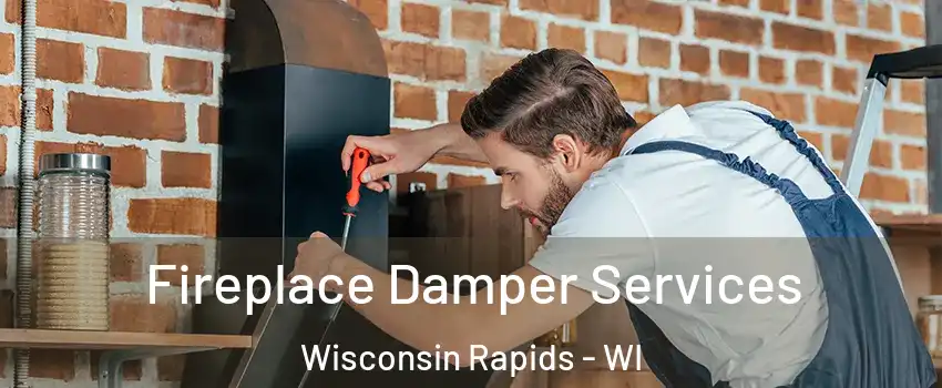  Fireplace Damper Services Wisconsin Rapids - WI