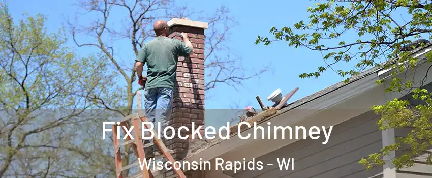  Fix Blocked Chimney Wisconsin Rapids - WI
