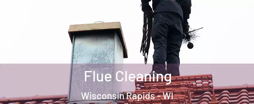  Flue Cleaning Wisconsin Rapids - WI