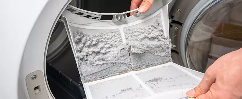 Best Dryer Lint Removal Company in Wisconsin Rapids, Wisconsin