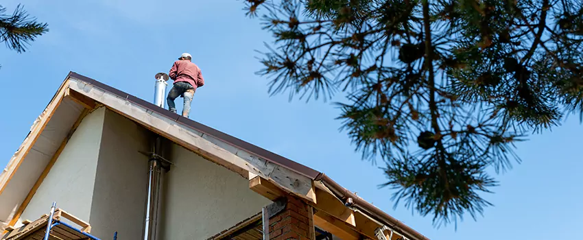 Birds Removal Contractors from Chimney in Wisconsin Rapids, WI