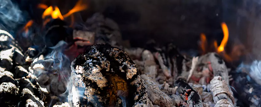 Creosote Removal Experts in Wisconsin Rapids, WI