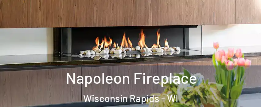 Napoleon Fireplace Wisconsin Rapids - WI